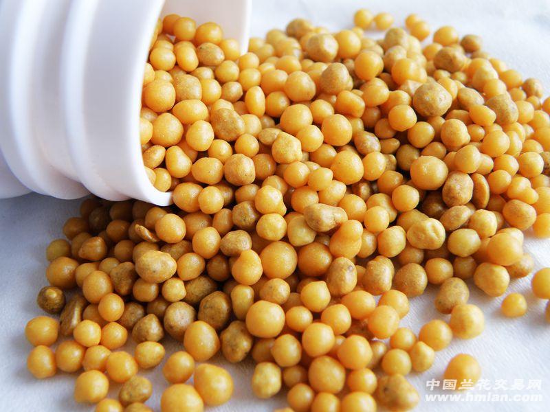 美国进口奥绿肥5号 通用均衡肥 长效缓释肥 - 中国兰花交易网