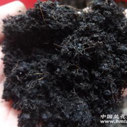 朱立志‖农田重金属污染与人类健康之间的恐怖逻辑