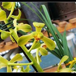 商家临沂鲁南兰苑的在线交易品种