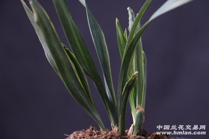 з ɽƷ  ˮ ˮ5,յݺ