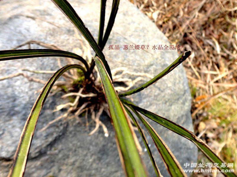  Ʒ-ޥˮ츲ڡ